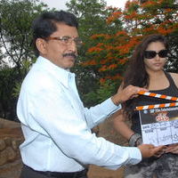 Namitha's Sukra movie opening stills | Picture 50113